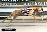 Edelman